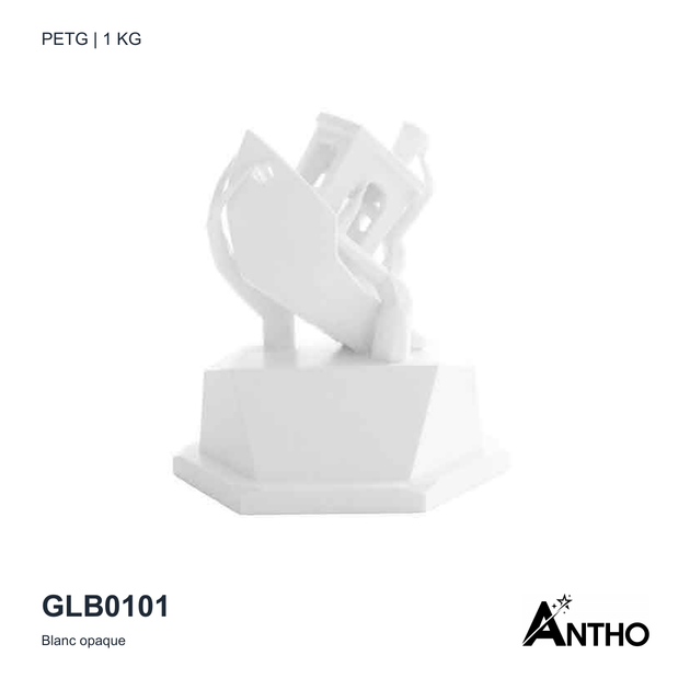 Filament ANTHO PETG Blanc opaque 1 kg GLB0101 - exemple de rendu imprimé