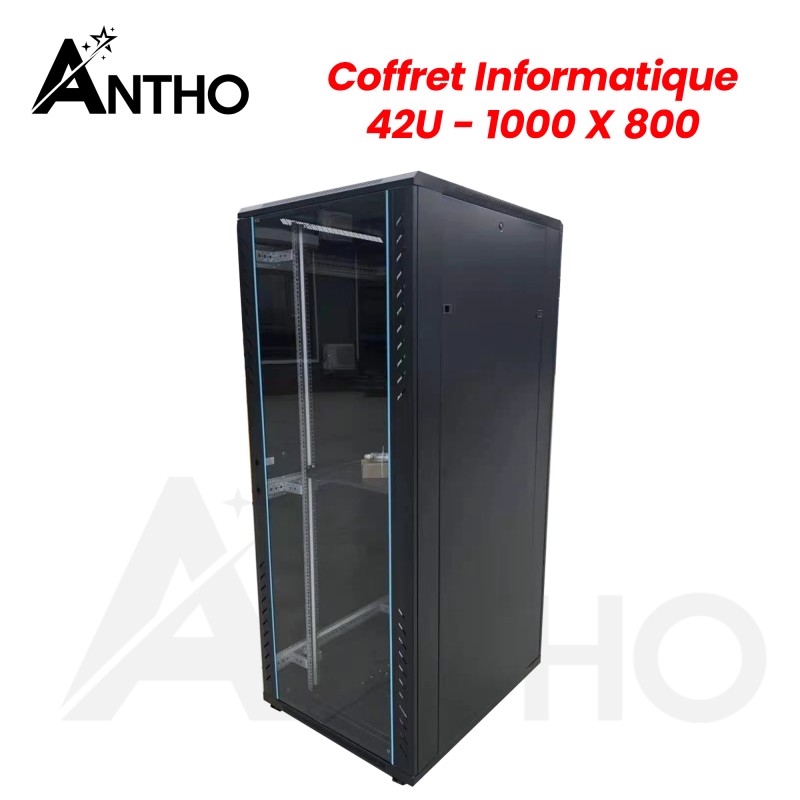 ANTHO Armoire / Coffret Informatique 42U - 800 x 1000