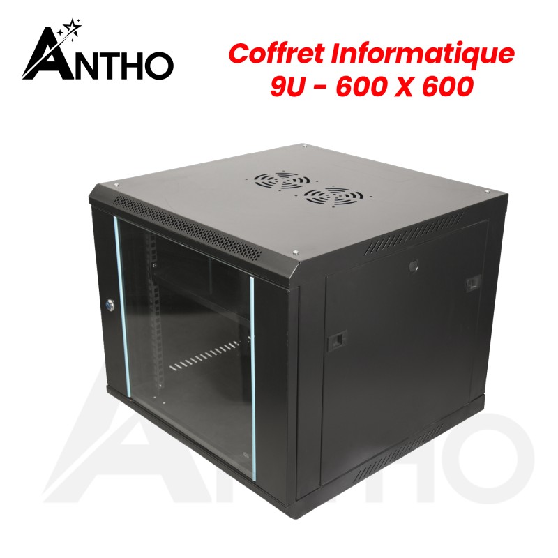 ANTHO Armoire / Coffret Informatique 9U - 600 X 600 X 500