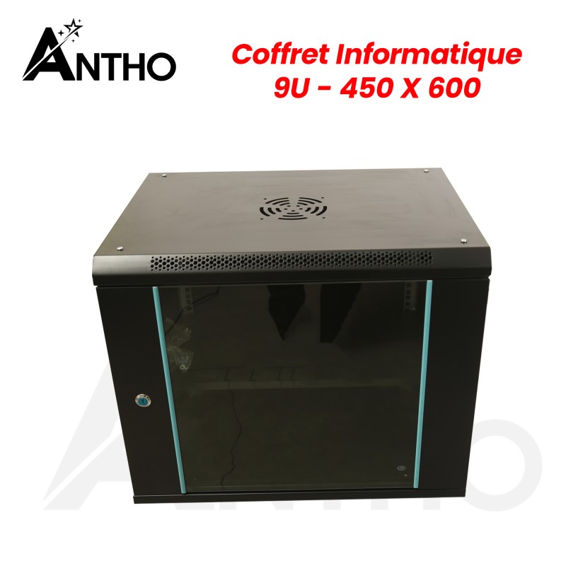 ANTHO Armoire / Coffret Informatique 9U - 600 X 450 X 500