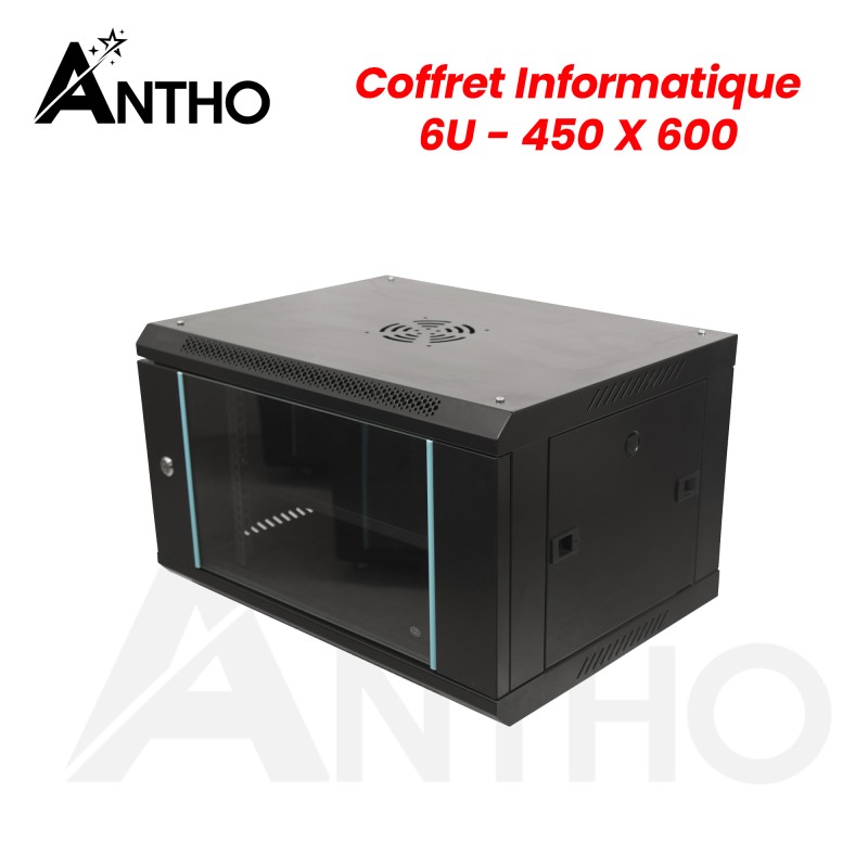 ANTHO Armoire / Coffret Informatique 6U - 600 X 450 X 350